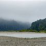 Humboldt Redwoods State Park (SP)