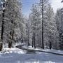 Malakoff Diggins State Historic Park (SHP)