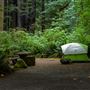 Richardson Grove State Park (SP)
