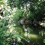Los Angeles County Arboretum