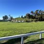 Will Rogers State Historic Park (SHP) & Polo Field