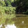 Los Angeles County Arboretum
