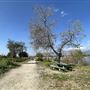 Peck Road Water Conservation Park