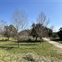 Peck Road Water Conservation Park