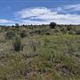 39459 Opalocka Road Suite 1648