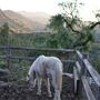 RAINE Ranch