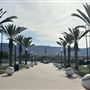 Lake Elsinore Diamond / Home to Lake Elsinore Storm