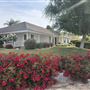 Corner Lot in a Quiet Neighborhood