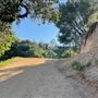 Boy Scout Trail - Griffith Park