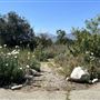Santa Fe Dam Recreational Area