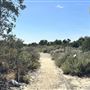 Santa Fe Dam Recreational Area