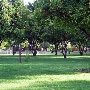 Los Encinos State Historic Park (SHP) adjacent to currently closed Lakeside Restaurant & Lounge