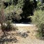 Peter Strauss Ranch - National Park Service (NPS)