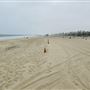 Dockweiler State Beach (SB) / FilmLA - County Beaches & Harbors