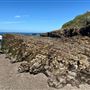 Montana de Oro State Park (SP)