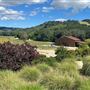 Halter Ranch