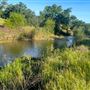 Solace Ranch & Vineyard