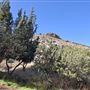 Acton Ranch