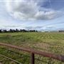 Stockdale Ranch