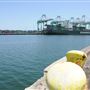 World Cruise Center at Port of Los Angeles - POLA