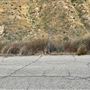 Valley Canyon Rd at Stonecrest Rd