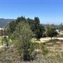 Deukmejian Wilderness Park