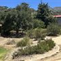 Deukmejian Wilderness Park