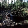 McCloud River