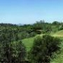 Mount Diablo State Park (SP)