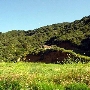 Mountain Property of Social Model Recovery System - Private Property