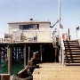 Monterey Municipal Wharf #2