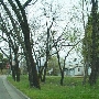 Overshine Wine Company (f.k.a. Armida Winery)
