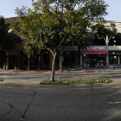 Westwood Village - Westwood Blvd.