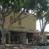 8th St. and San Julian St.