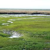 Humboldt Bay National Wildlife Refuge