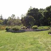 Descanso Gardens / Boddy House / Japanese Tea Garden