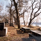 Woodson Bridge & RV Park