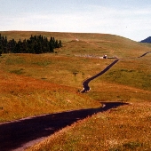 Bear River Ridge Road - Off HWY 101