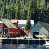 Obexer's Marina And Boat Company
