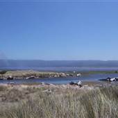 Kellogg Beach
