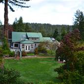 Mitchell Grove - Private Redwood Forest