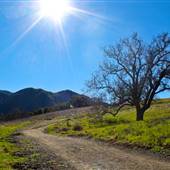 Malibu Creek State Park (SP)