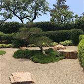 Earl Burns Miller Japanese Garden - California State University Long Beach - CSULB