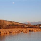 Battle Creek Wildlife Area