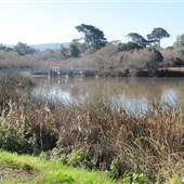 Laguna Grande Regional Park - Interagency / Monterey & Seaside