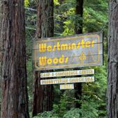 Westminster Woods