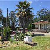 Bees Rock Ranch