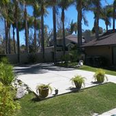40 Palms