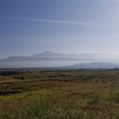 Bracaccini Ranch Property - 50 acres open field / Ranch House / Barns