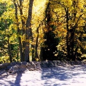 Forest Service Road 2N10 South of West Gate